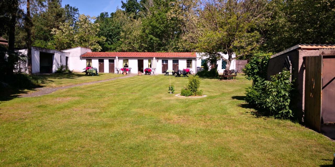 Ferienparadies Waldidylle, Familiengefuehrt Seit 20 Jahren - Mit Grossem Pool Und Viel Platz! Haida Exterior foto